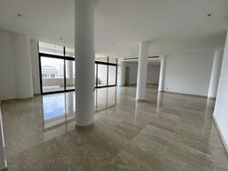 The Colonnade (D10), Condominium #486366411